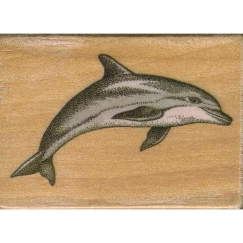 Dolphin Rubber Wood Stamp Rubber NEW NWT Stampede by Delta Creative Crafts Scrap